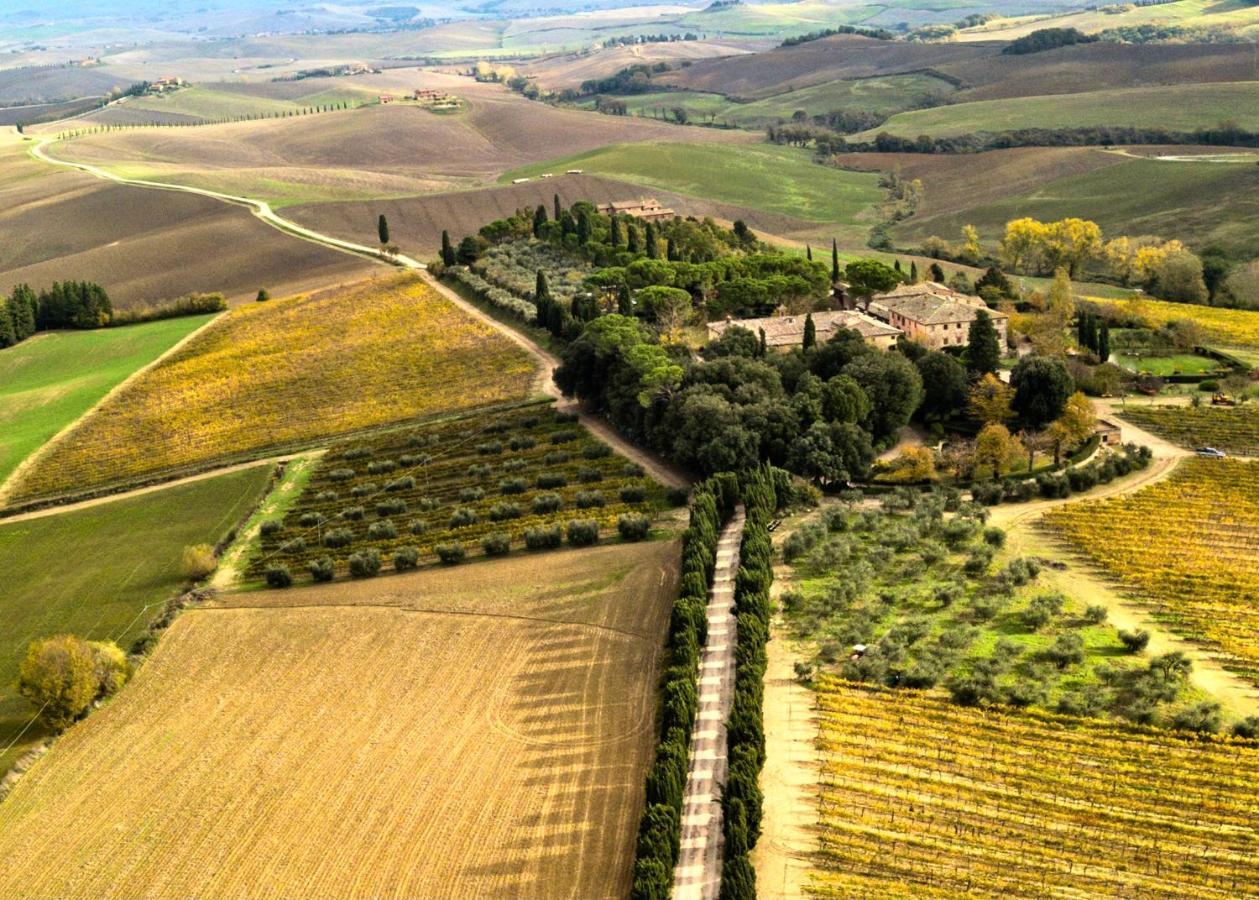 Villa Buonsignori - Wine & Olive Oil Farm Corsano  Bagian luar foto